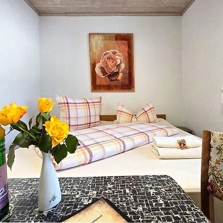 Pension Hoffmann Trebra Extérieur photo