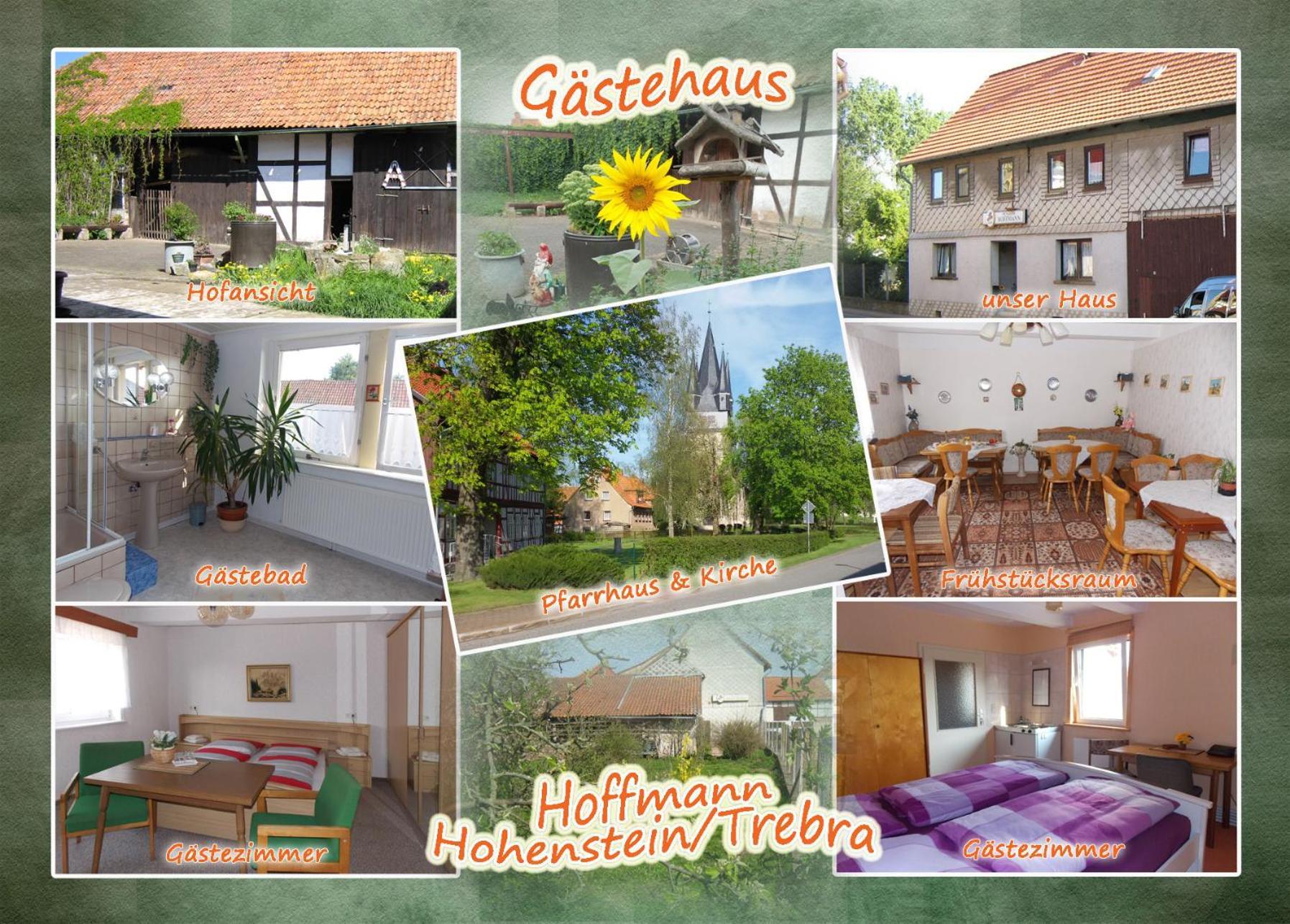 Pension Hoffmann Trebra Extérieur photo
