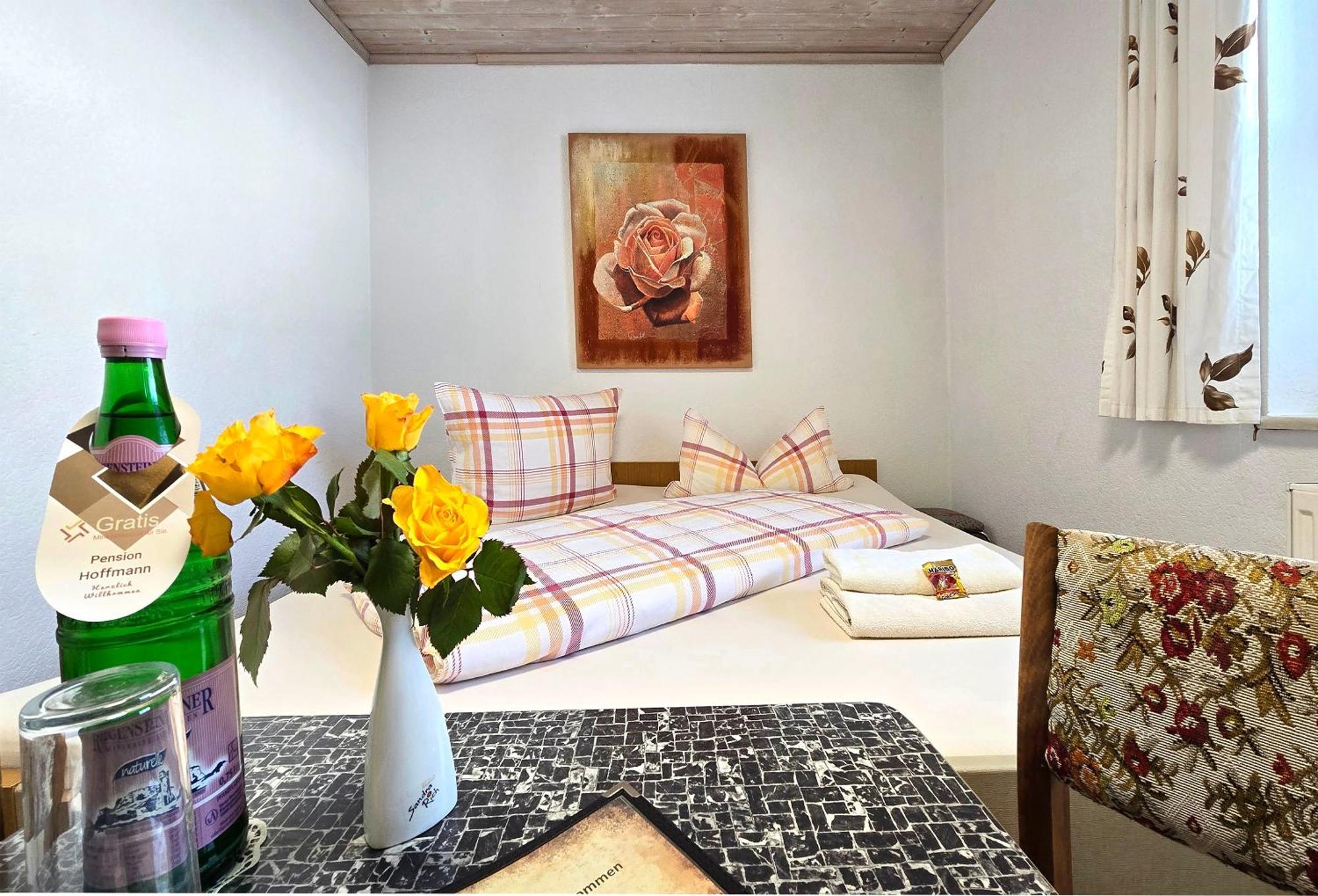 Pension Hoffmann Trebra Extérieur photo