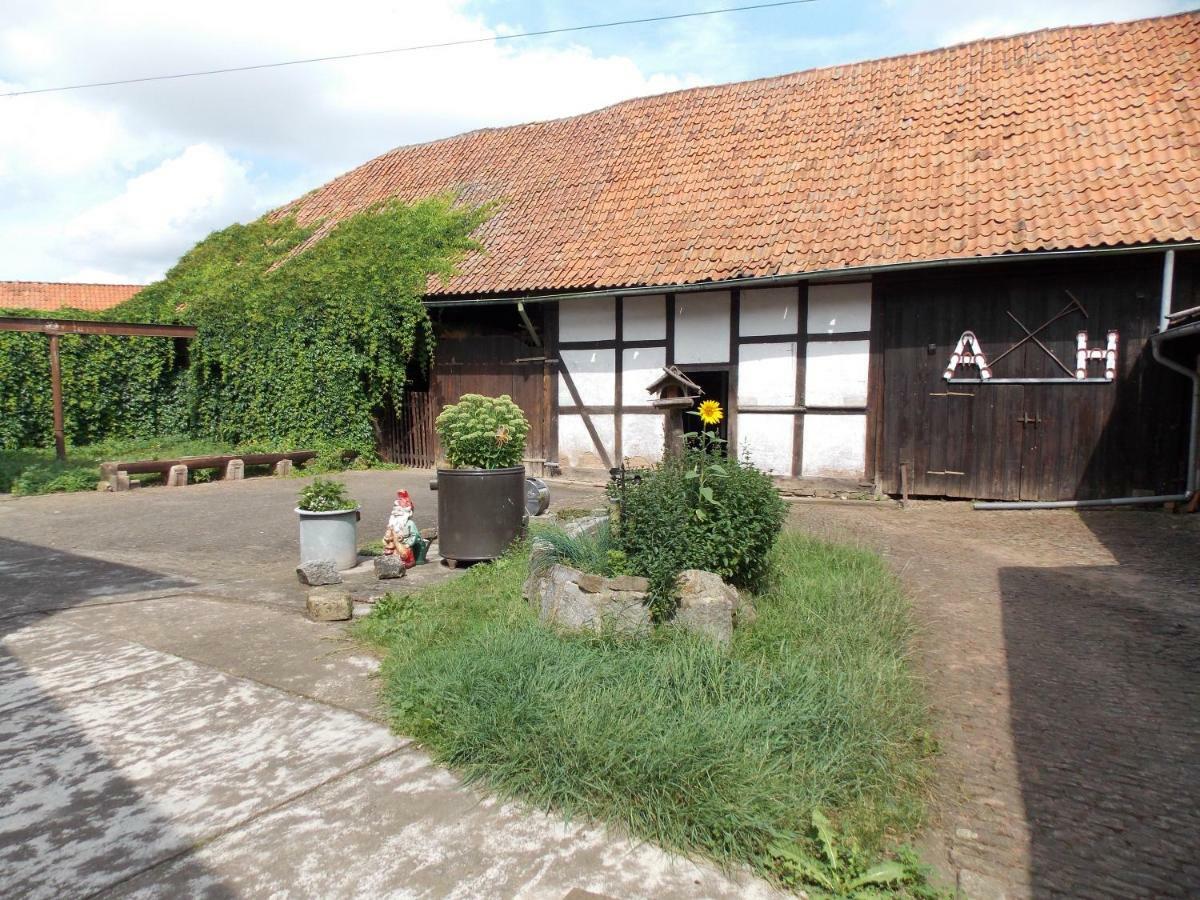 Pension Hoffmann Trebra Extérieur photo