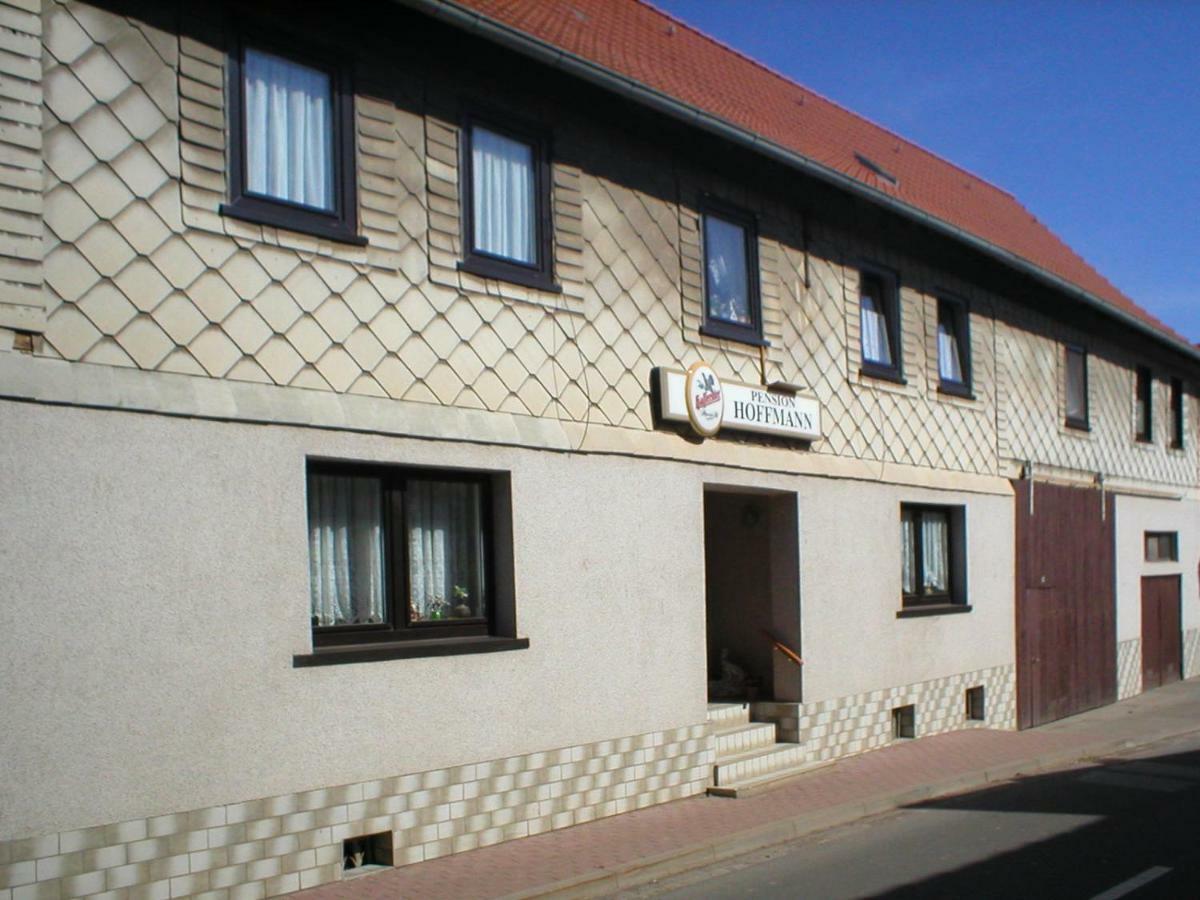 Pension Hoffmann Trebra Extérieur photo